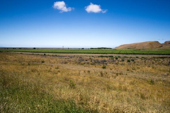 New Zealand 2014~2015-029