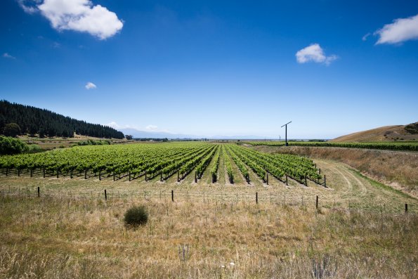 New Zealand 2014~2015-030