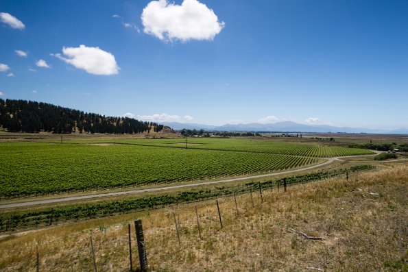 New Zealand 2014~2015-032