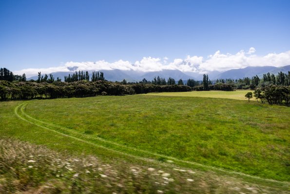 New Zealand 2014~2015-047