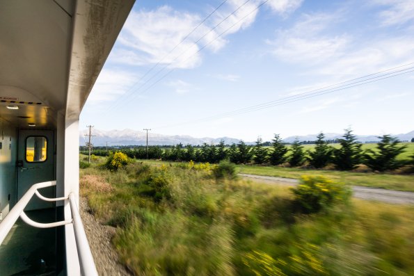 New Zealand 2014~2015-058