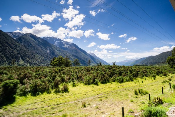 New Zealand 2014~2015-091