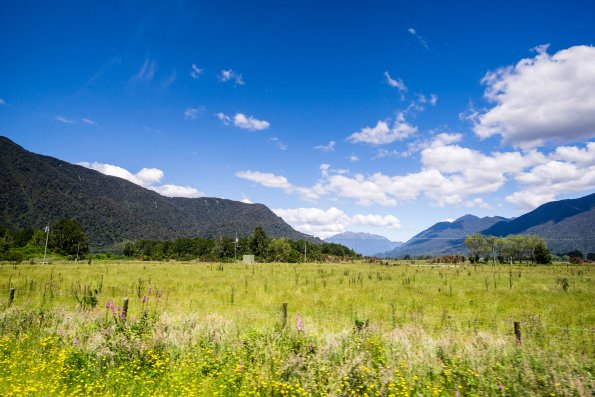 New Zealand 2014~2015-097