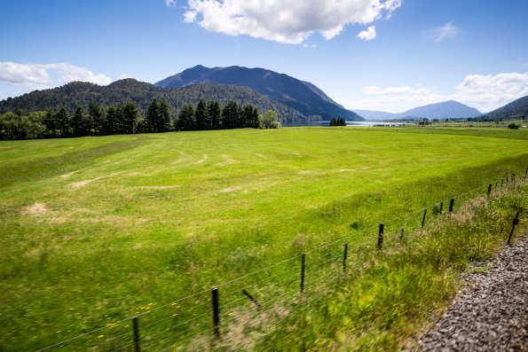 New Zealand 2014~2015-098