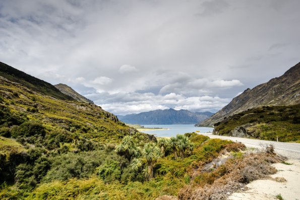 New Zealand 2014~2015-014