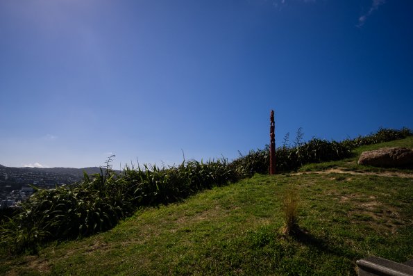 New Zealand 2014~2015-046