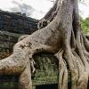Angkor Wat-106