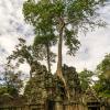 Angkor Wat-108