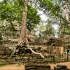 Angkor Wat-110