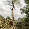 Angkor Wat-85