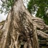 Angkor Wat-95