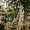 Angkor Wat-97