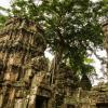 Angkor Wat-105