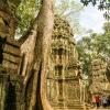 Angkor Wat-111
